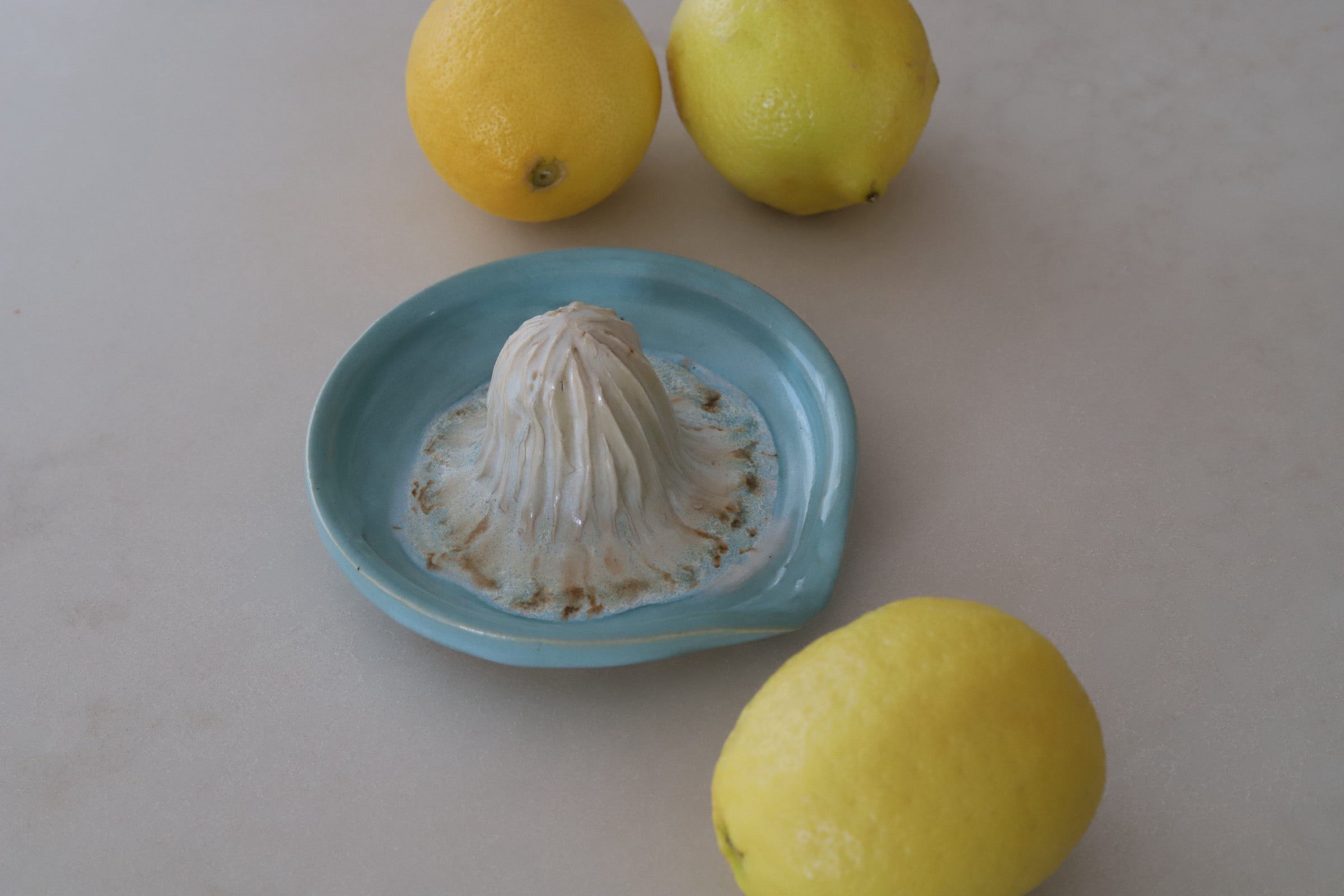 Citrus Juicer