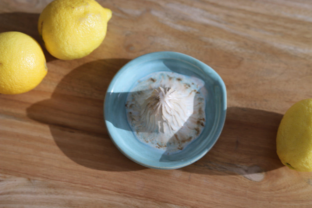 Citrus Juicer