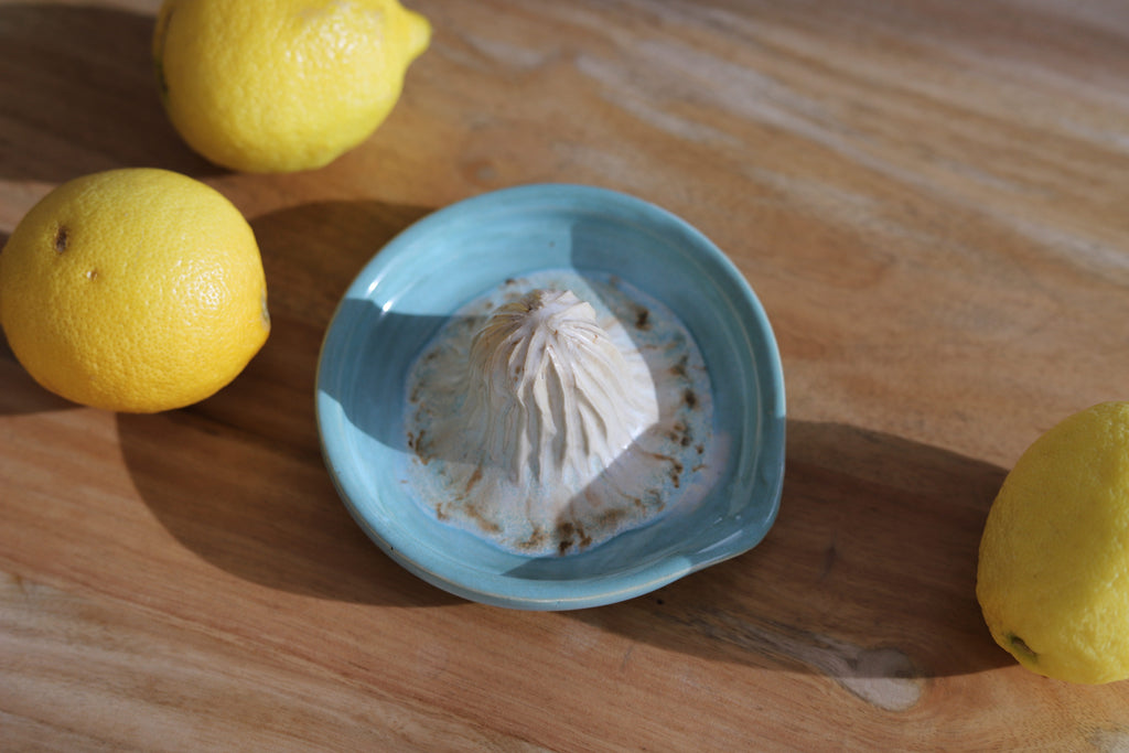 Citrus Juicer