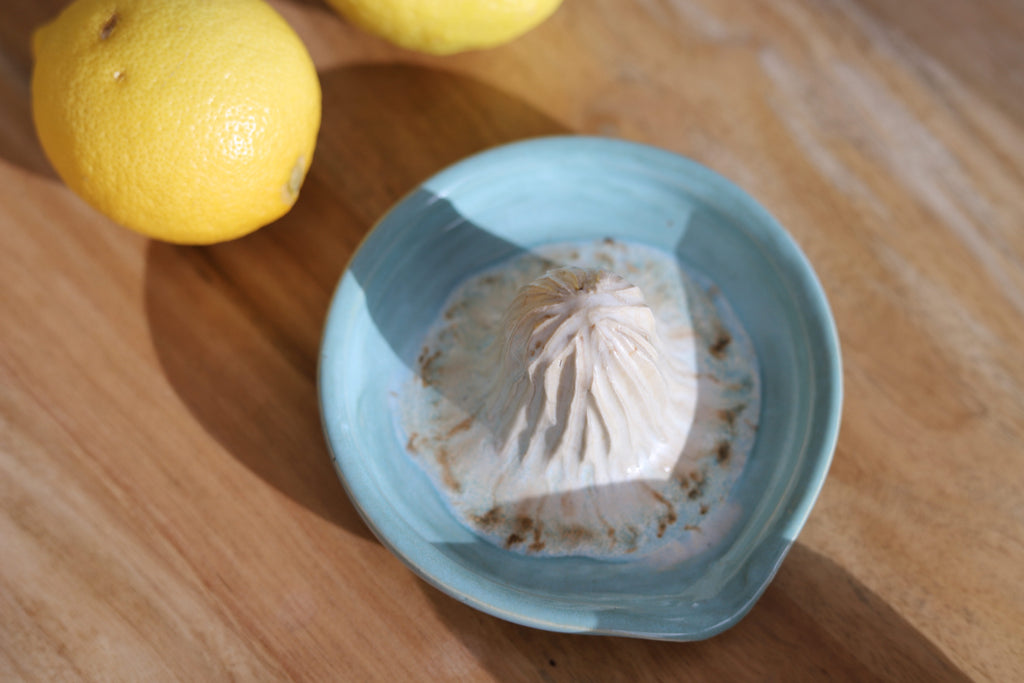 Citrus Juicer