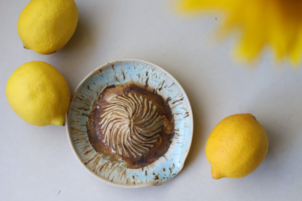 Citrus Juicer