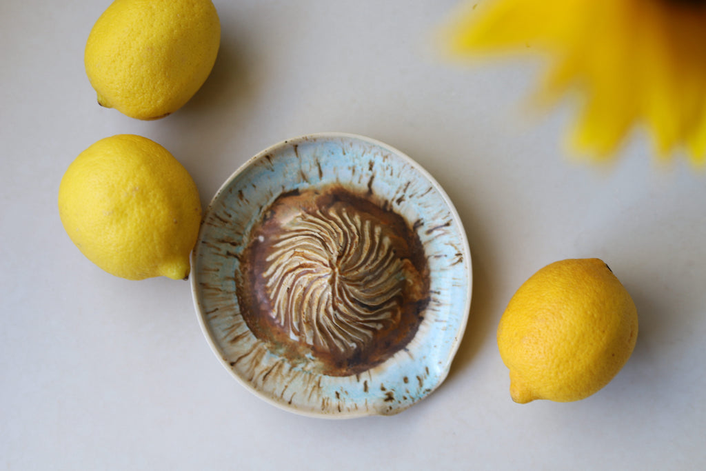 Citrus Juicer