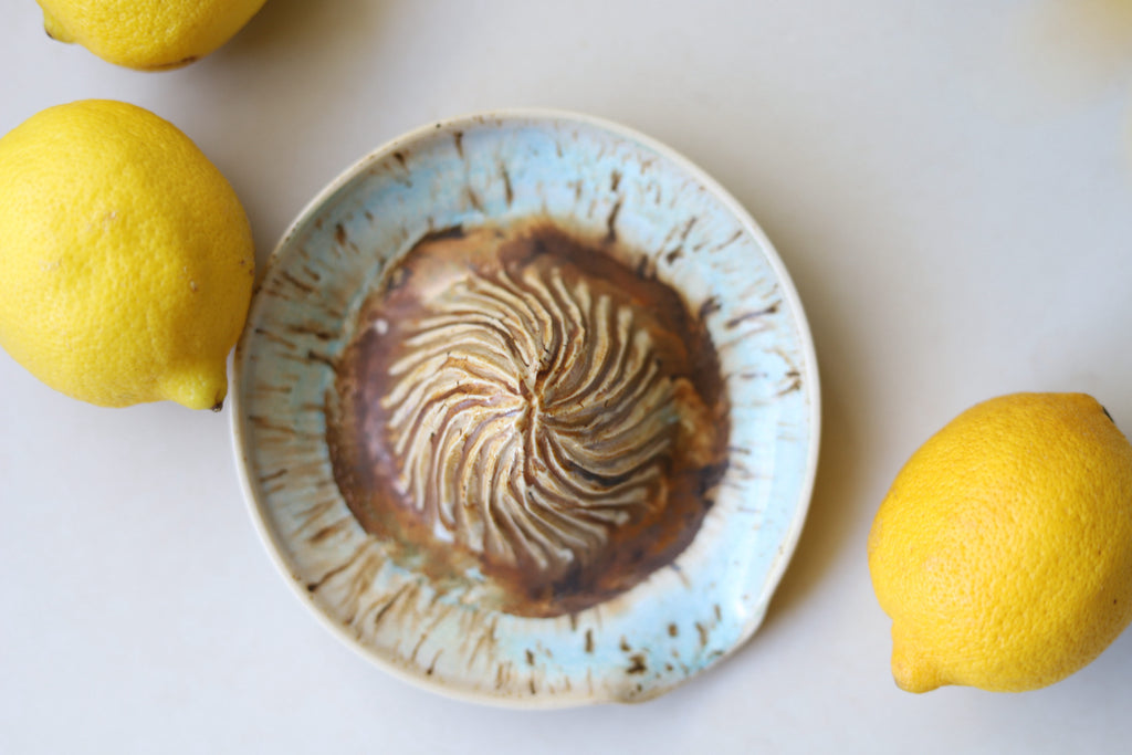 Citrus Juicer