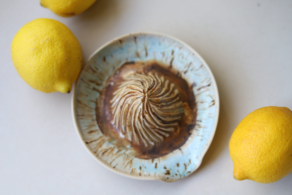 Citrus Juicer