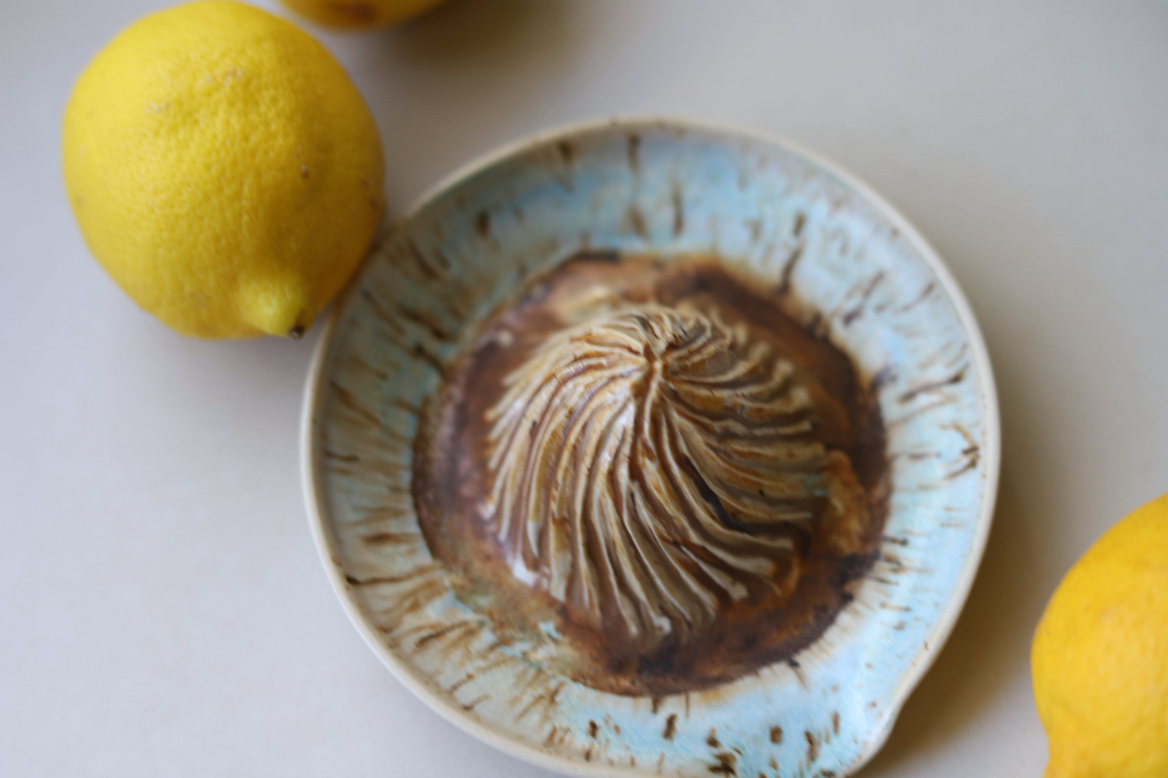 Citrus Juicer
