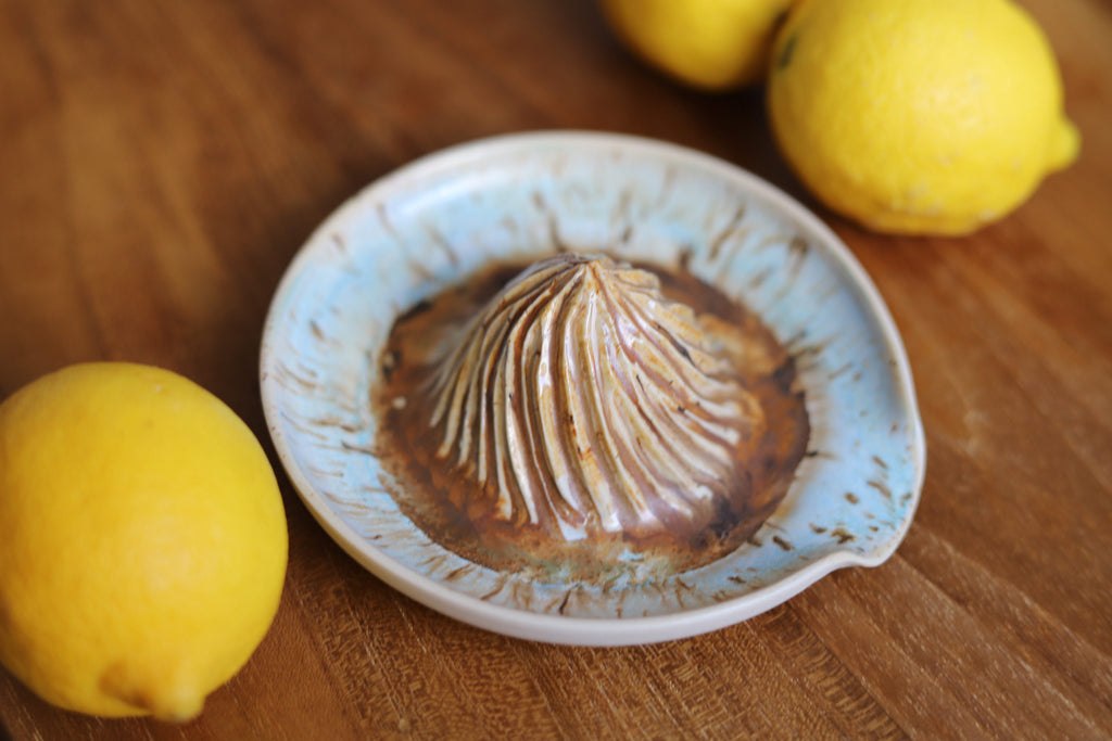 Citrus Juicer