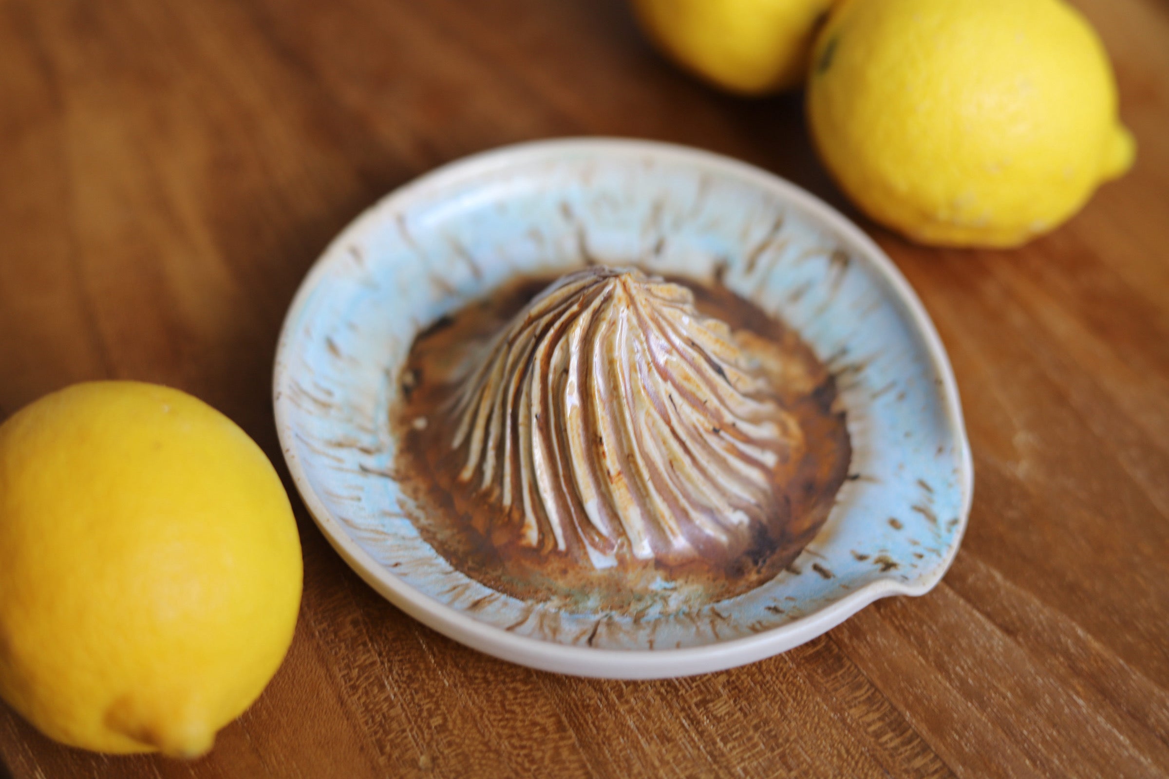 Citrus Juicer