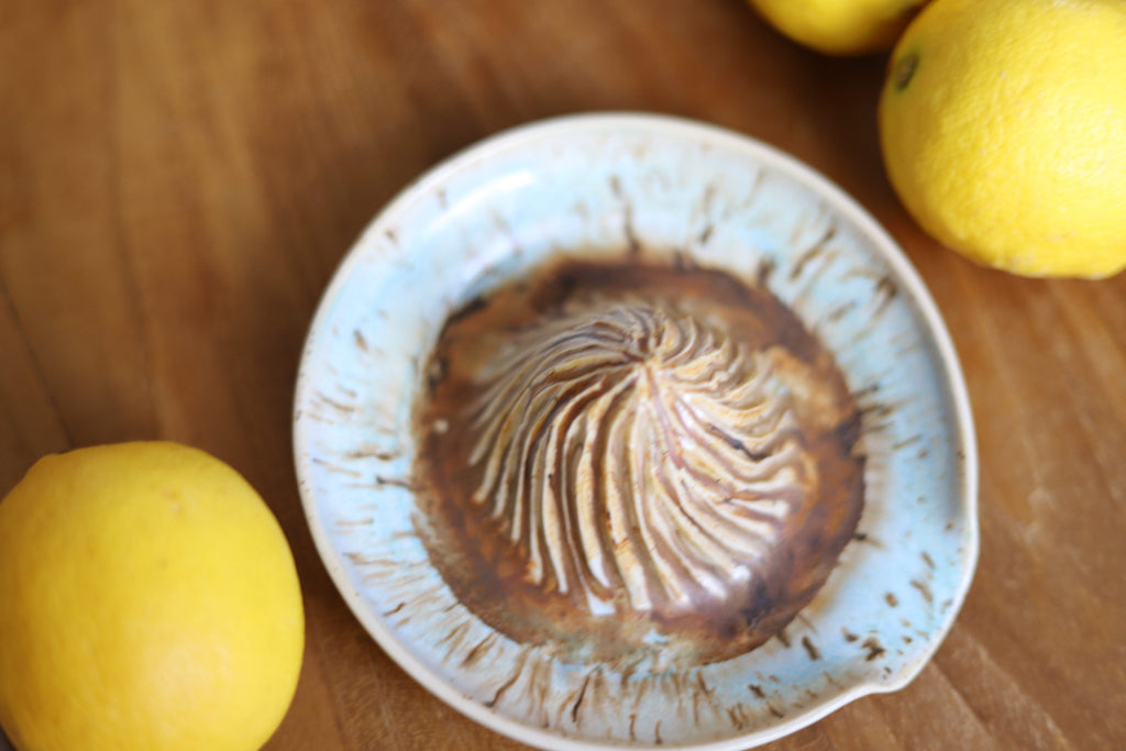 Citrus Juicer