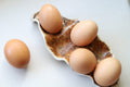 Egg Holder - Half Dozen
