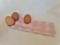 Egg Holder - Dozen